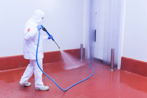 Best Roof Washing  in Clintwood, VA